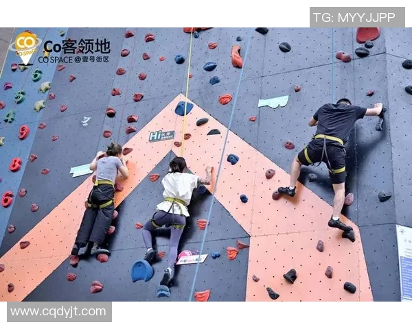 杭州攀岩队心理素质提升之路探讨与热议