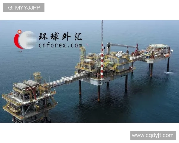 冠军杯特别报道：LNG逆袭之路的辉煌与挑战全景回顾