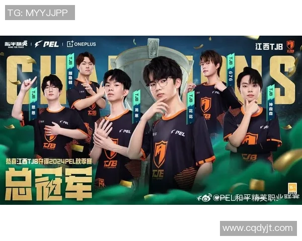 和平精英团队协作排行榜揭晓LNG战队荣登第四名引发热议